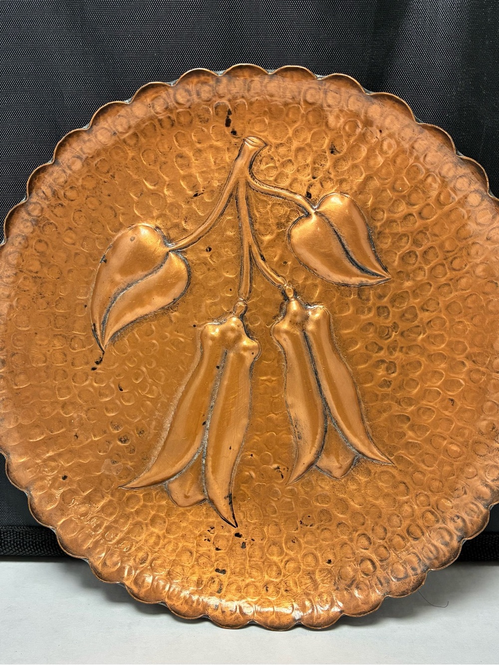 Handcrafted Copper Wall Plaque with Botanical Relief 8”
